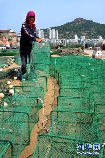 我國(guó)東海區(qū)5萬多艘漁船今日起全面休漁