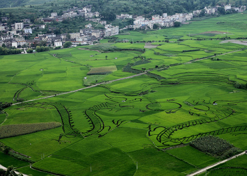 生態(tài)貴陽打造“綠色長(zhǎng)城”