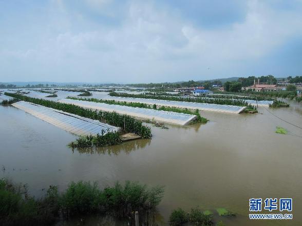 臺風(fēng)暴雨逼停京哈線70趟列車 沖鋒舟進(jìn)車站