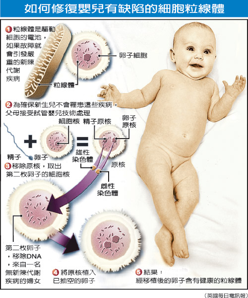 三個爹娘一個娃？英或允“三合一”胚胎技術(shù)用于臨床治療