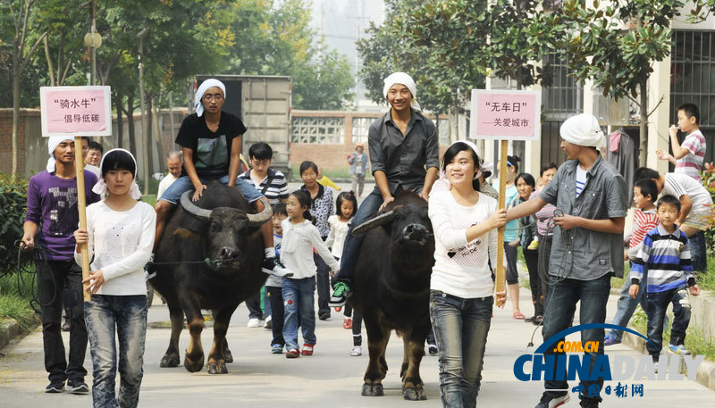 無(wú)車(chē)日：騎車(chē)娶親 騎牛上路