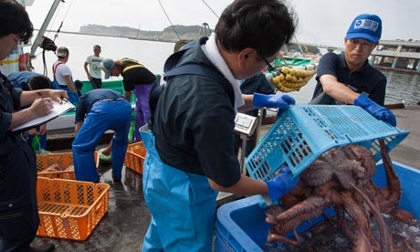 日本福島未來10年無魚可吃？最新研究發(fā)現(xiàn)附近四成魚放射性超標(biāo)