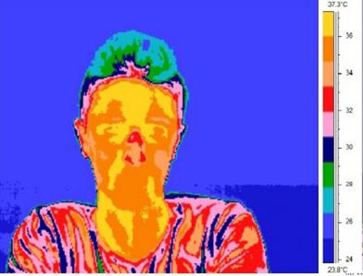 科學家證實“匹諾曹效應(yīng)” 撒謊可導致鼻子變熱