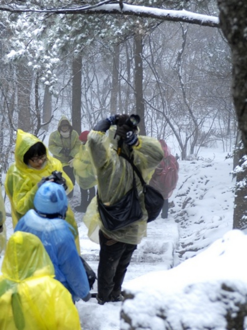 安徽黃山風(fēng)景區(qū)迎降入冬首場盛雪 驚羨拍雪客