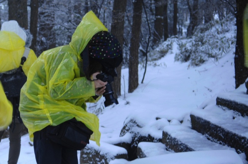 安徽黃山風景區(qū)迎降入冬首場盛雪 驚羨拍雪客