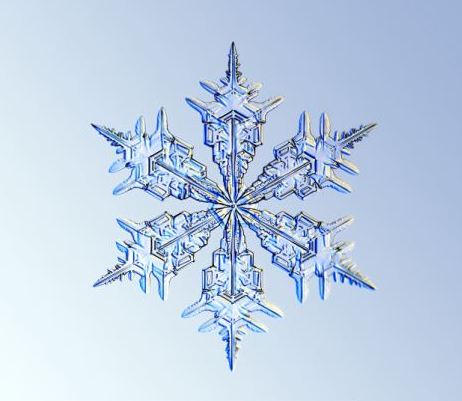 怎一個美字了得！美國科學家?guī)闶フQ看雪花(圖)