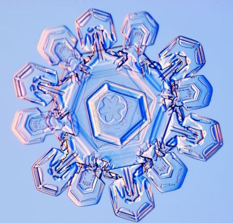 怎一個美字了得！美國科學家?guī)闶フQ看雪花(圖)
