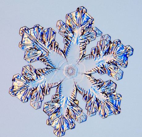 怎一個美字了得！美國科學家?guī)闶フQ看雪花(圖)