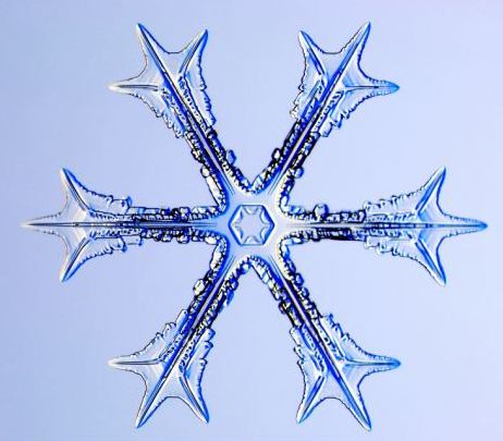 怎一個美字了得！美國科學家?guī)闶フQ看雪花(圖)