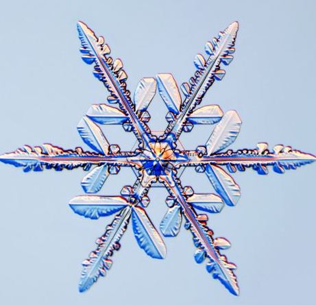 怎一個美字了得！美國科學家?guī)闶フQ看雪花(圖)