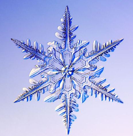怎一個美字了得！美國科學(xué)家?guī)闶フQ看雪花(圖)