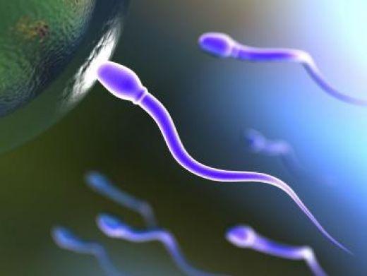 美國男子為女同性戀情侶捐精 三年后被要求支付撫養(yǎng)費(fèi)