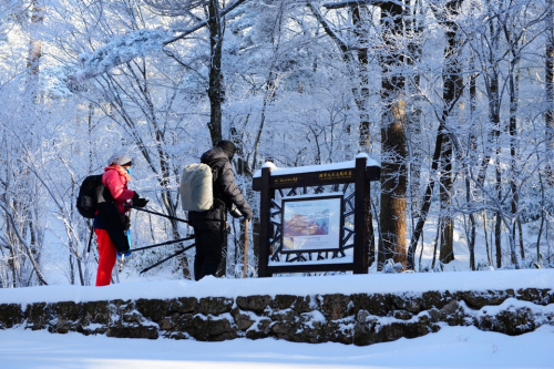 黃山風景區(qū)開展主題酬賓周活動 本地市民免費游