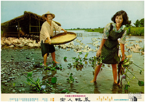 臺(tái)灣電影的“純美女神”