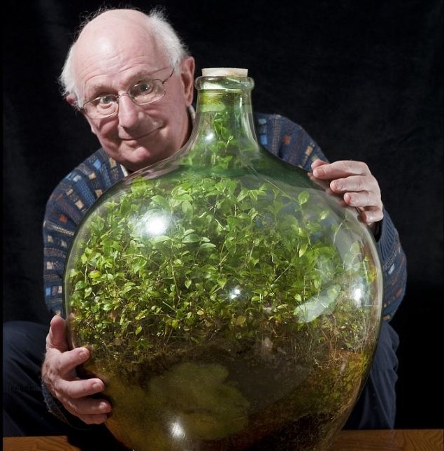 綠植瓶封40年仍長勢(shì)旺盛 靠光合作用自給自足