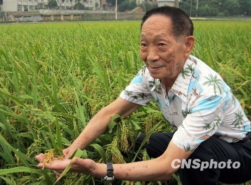 印度農民稻米單產創(chuàng)世界紀錄 袁隆平批“吹牛皮”