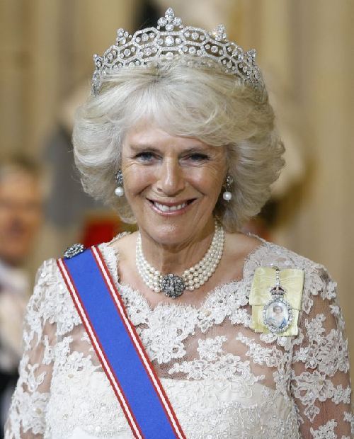英女王國(guó)會(huì)大典講話屢出錯(cuò) 卡米拉扮相似王后