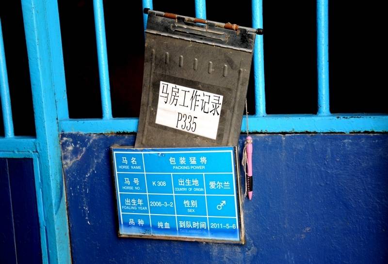 每匹馬養(yǎng)護成本2500元/月?探秘大連女騎警訓(xùn)練基地