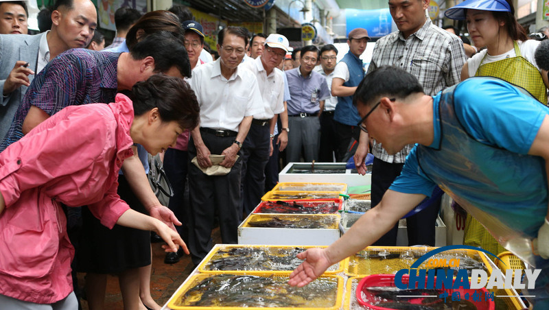 韓總統(tǒng)樸槿惠走訪水產(chǎn)品市場了解民生（高清組圖）