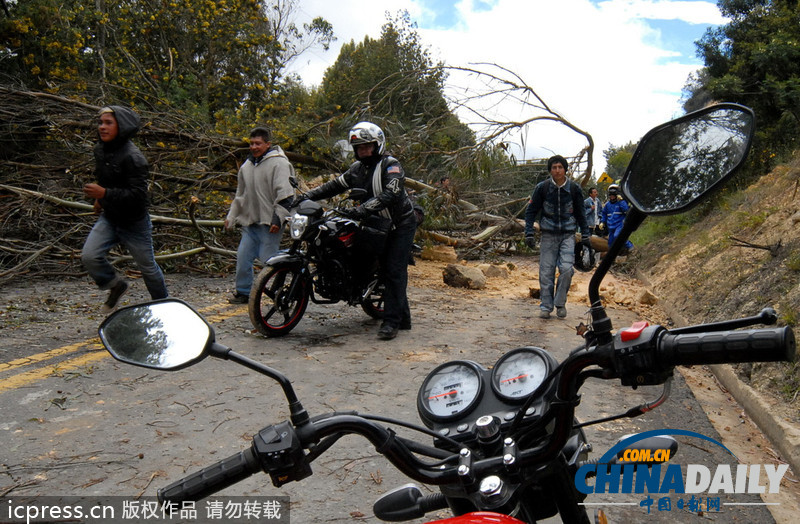 哥倫比亞全國大罷工要求下調(diào)汽油價格 引發(fā)警民沖突（組圖）