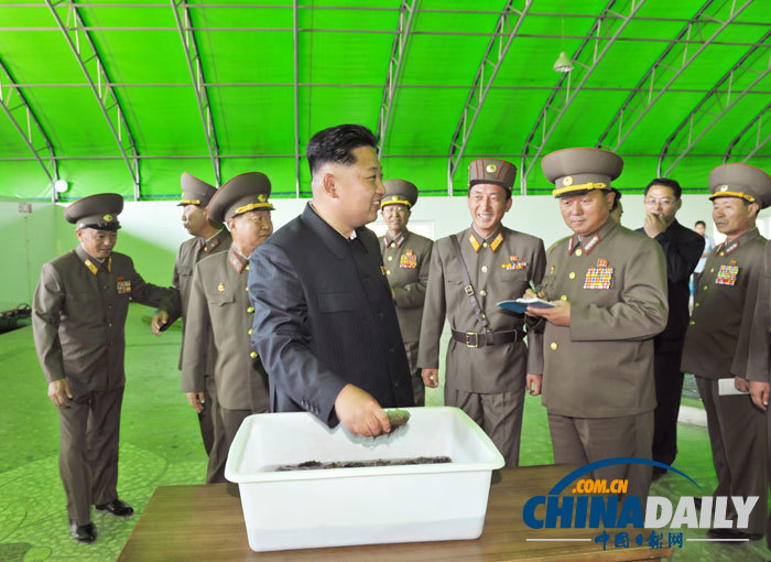金正恩視察養(yǎng)魚場 要求大量生產(chǎn)鱘魚等供應(yīng)國際市場（組圖）