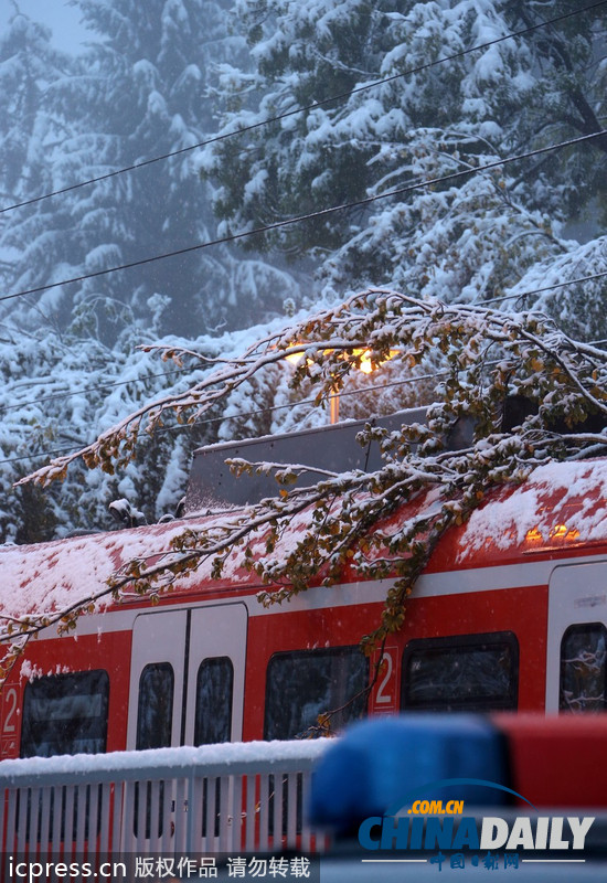 德國(guó)巴伐利亞大雪成災(zāi) 鐵路交通陷于癱瘓（圖）