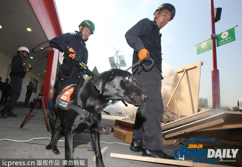 韓國(guó)舉行大型聯(lián)合反恐演習(xí) 逾500人參加