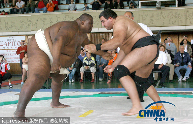 世界最胖運(yùn)動(dòng)員體重326公斤 憑臃腫身材稱霸相撲界