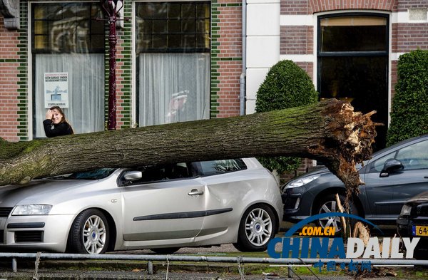 歐洲多國遭遇強(qiáng)風(fēng)暴襲擊 十余人死亡損失慘重（組圖）