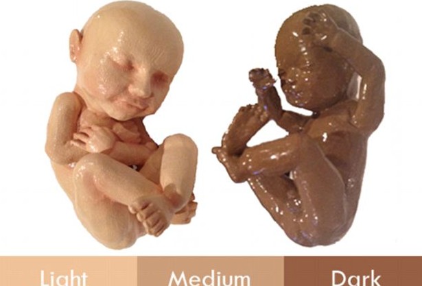 3D打印帶你見未出生胎兒！體位表情皮膚性別皆可見