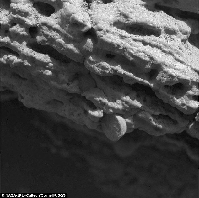 火星車圖片展在美開幕 十年火星旅程精彩無(wú)限（組圖）