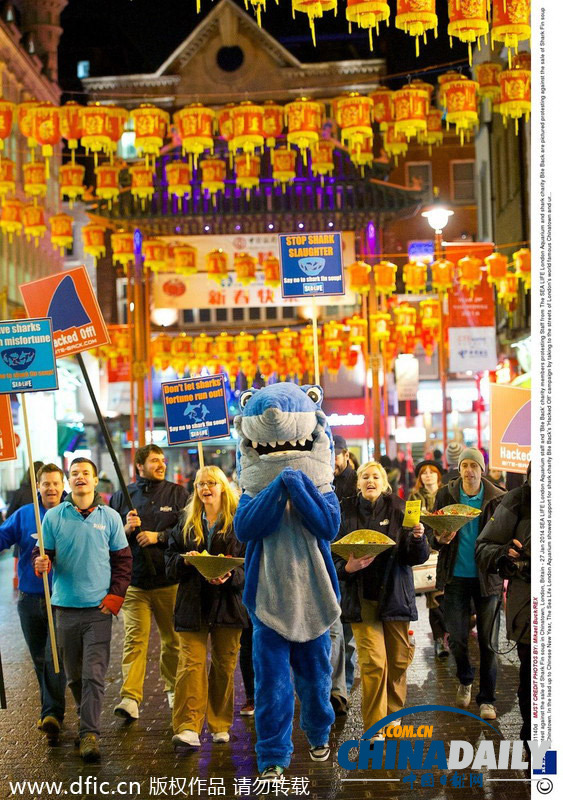 動物保護組織搭馬年順風(fēng)車 唐人街示威抗議食用鯊魚翅