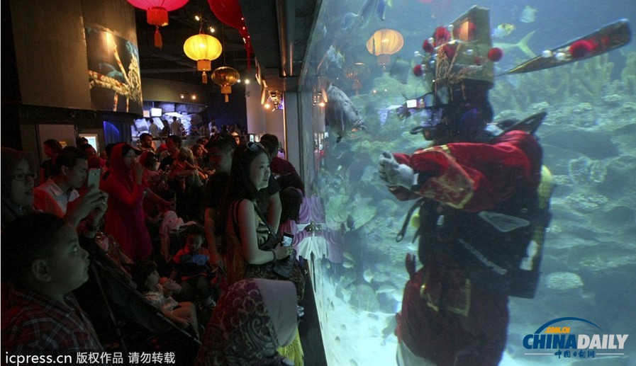 水下舞獅財(cái)神拜年 馬來西亞一水族館喜迎中國(guó)年