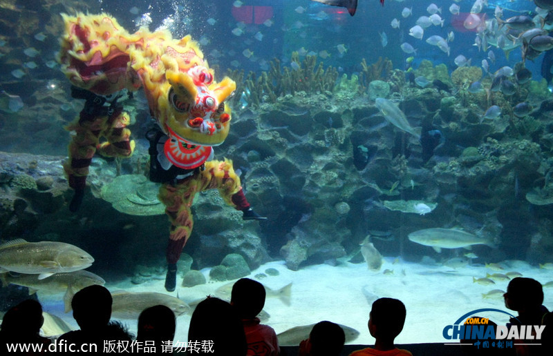 水下舞獅財(cái)神拜年 馬來西亞一水族館喜迎中國(guó)年