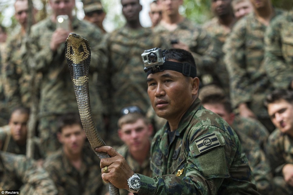 美國海軍陸戰(zhàn)隊(duì)生存訓(xùn)練：喝蛇血、吃蝎子