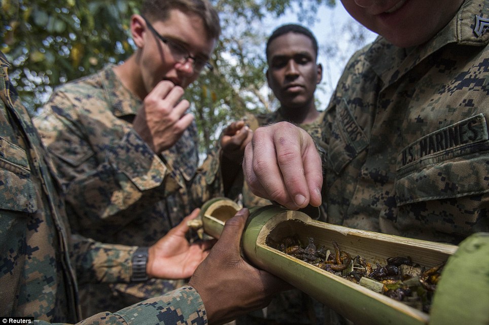 美國海軍陸戰(zhàn)隊(duì)生存訓(xùn)練：喝蛇血、吃蝎子