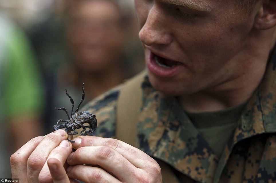 美國海軍陸戰(zhàn)隊生存訓練：喝蛇血、吃蝎子
