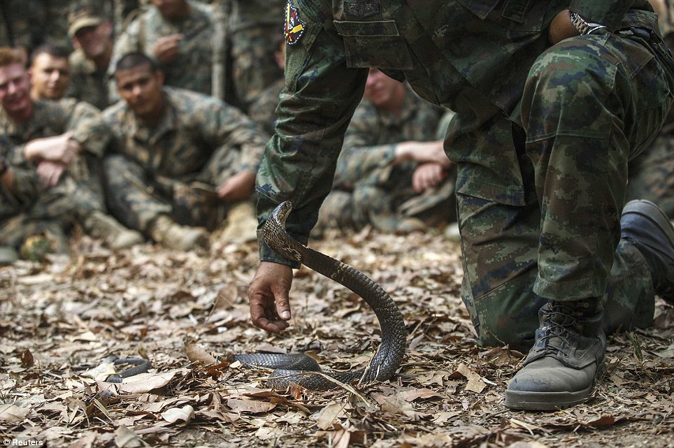 美國海軍陸戰(zhàn)隊(duì)生存訓(xùn)練：喝蛇血、吃蝎子