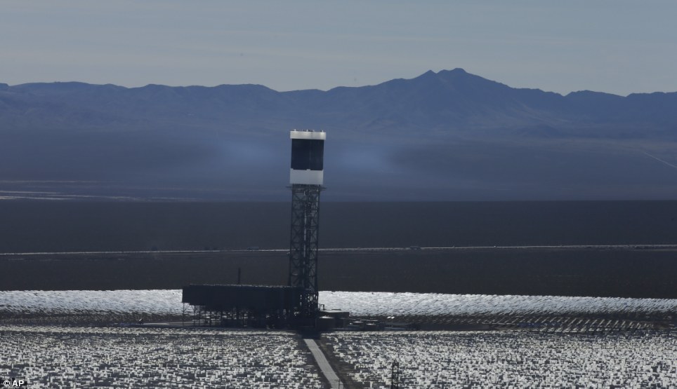 世界最大太陽能發(fā)電廠挨批 飛鳥誤闖后羽毛被烤焦
