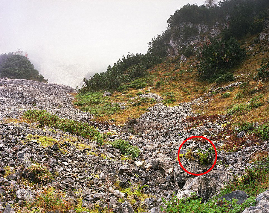 德國(guó)軍隊(duì)狙擊手藏身術(shù)：與自然融為一體