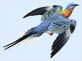 警察的“眼線(xiàn)”：Stool pigeon