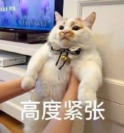 美國人有多愛夸人？居然飆車過來夸我鞋子美？？？