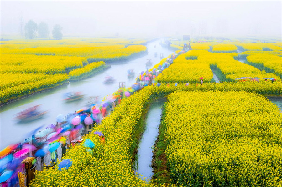 如詩(shī)如畫：“美麗中國(guó)·夢(mèng)想中國(guó)”攝影大賽優(yōu)秀作品欣賞（組圖）