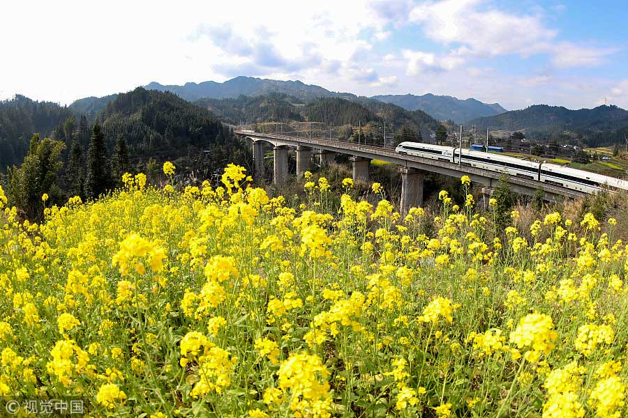 踏青季：春天盛開的9種鮮花 哪一種最美？（組圖）