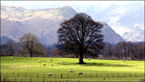 The British Countryside 音畫英國(guó)：動(dòng)物音樂會(huì)