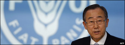UN Food Summit 聯(lián)合國(guó)食品高峰會(huì)