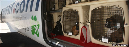Pet Airways 寵物專(zhuān)用航空公司