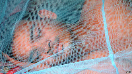 Drug-resistant malaria 抗藥性瘧疾