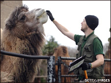 Zoo Stock Take 動物園盤點(diǎn)