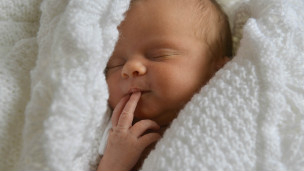 Sleepy? Blame your parents! 總發(fā)困？怨父母!